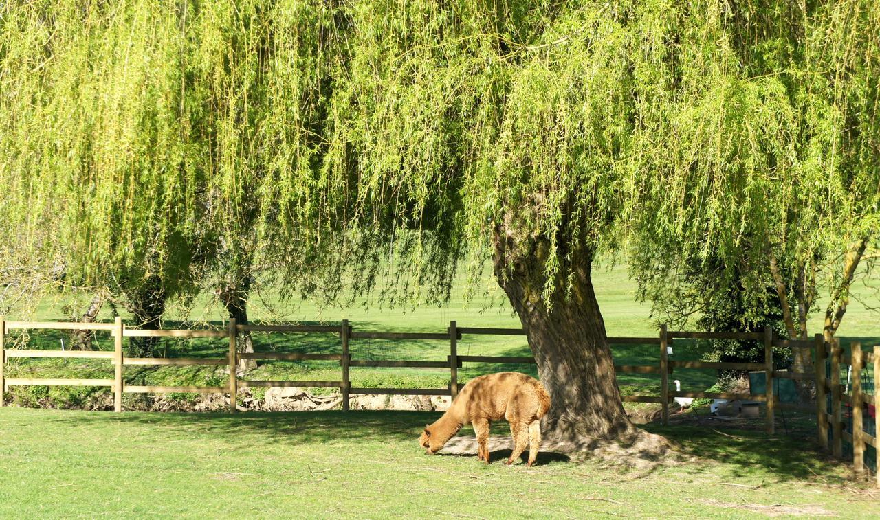 Hotel Les Suites - Domaine De Crecy Exteriér fotografie